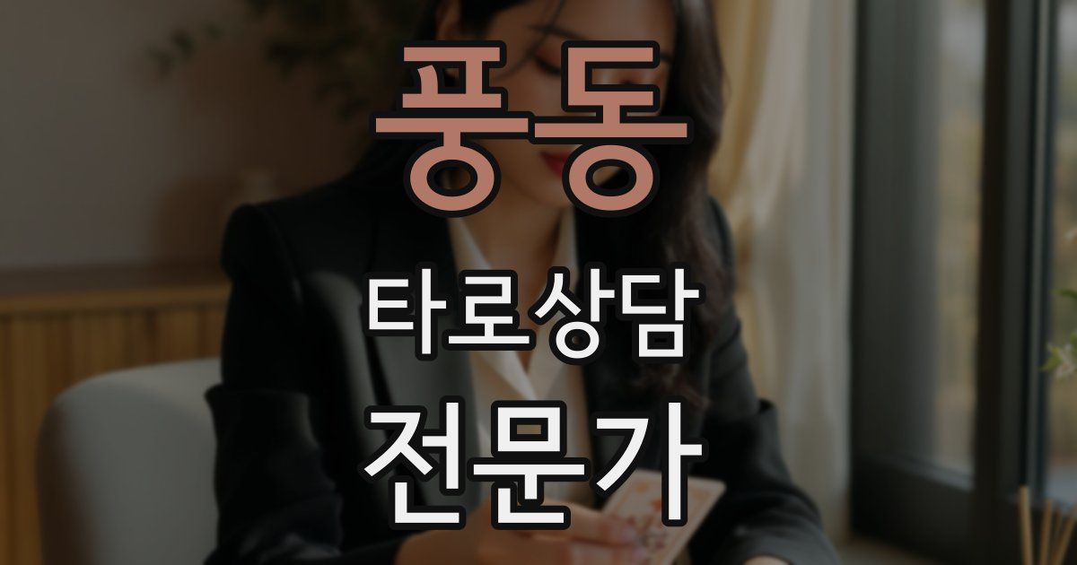 풍동 타로상담전문가 자격증