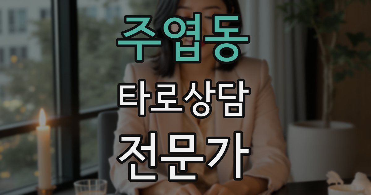 주엽동 타로상담전문가 자격증