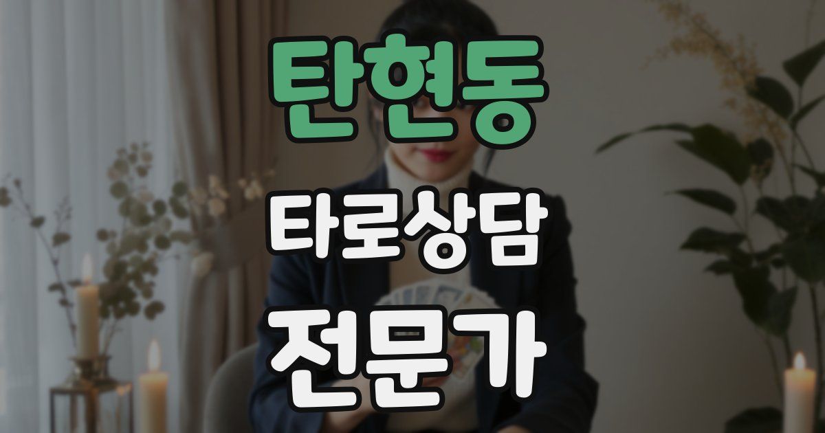 탄현동 타로상담전문가 자격증