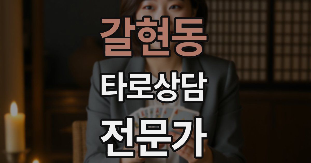 갈현동 타로상담전문가 자격증