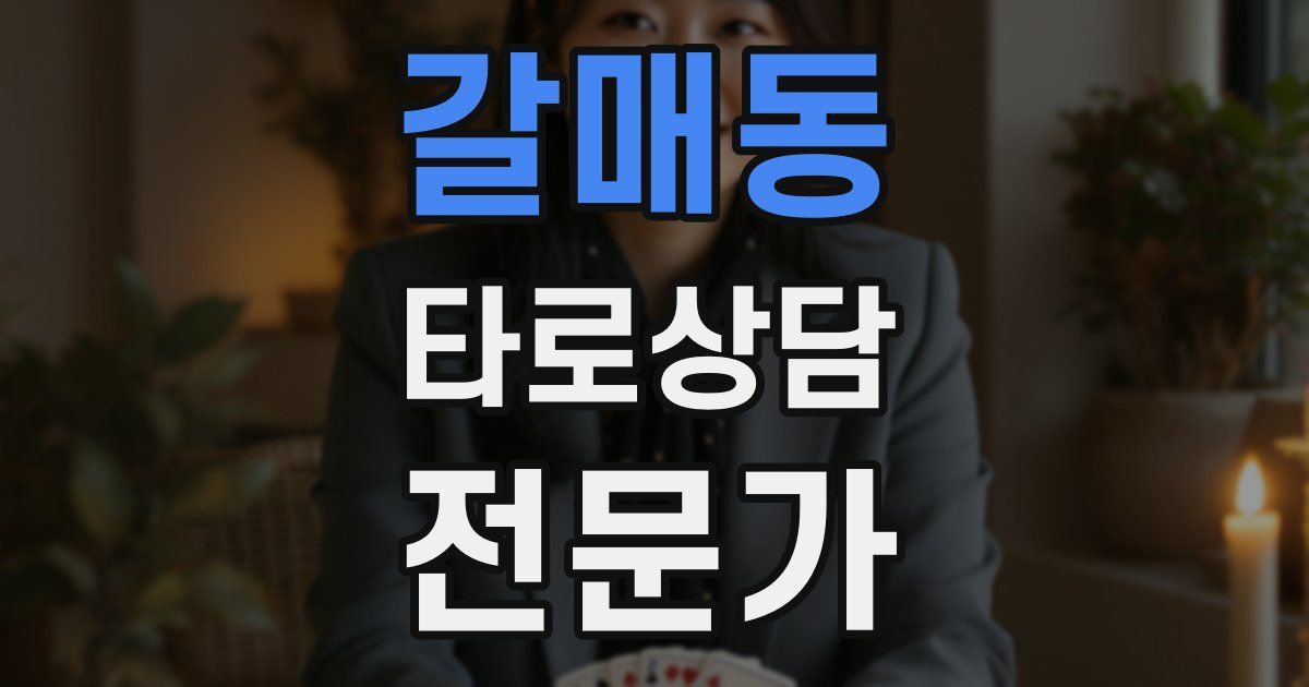갈매동 타로상담전문가 자격증