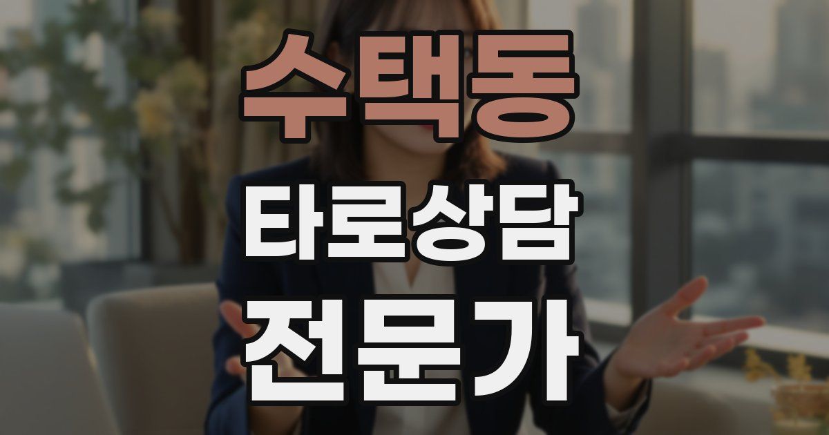 수택동 타로상담전문가 자격증