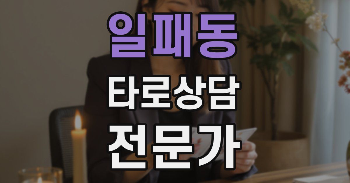 일패동 타로상담전문가 자격증