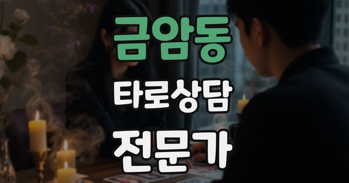 금암동 타로상담전문가 자격증