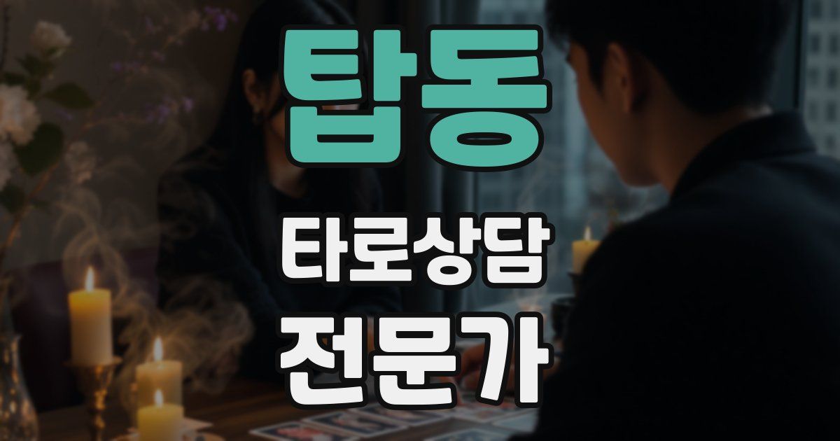 탑동 타로상담전문가 자격증