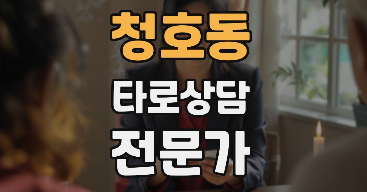 청호동 타로상담전문가 자격증