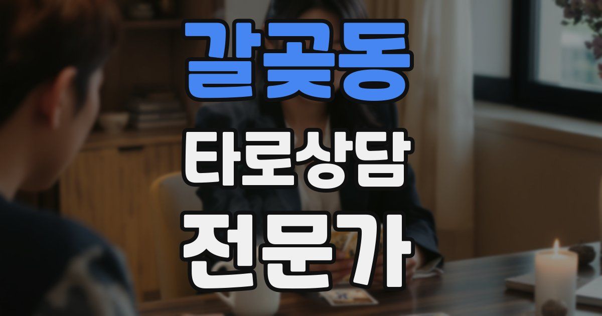 갈곶동 타로상담전문가 자격증