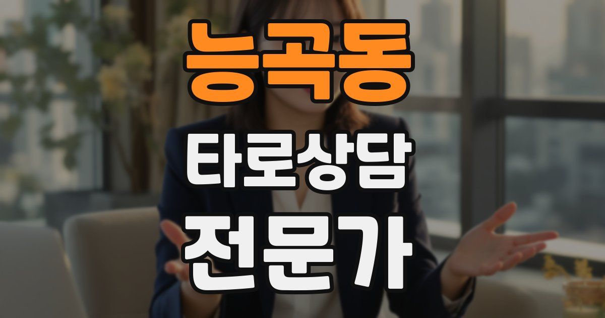 능곡동 타로상담전문가 자격증