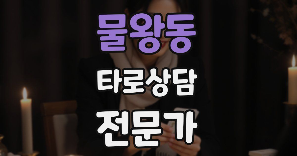 물왕동 타로상담전문가 자격증