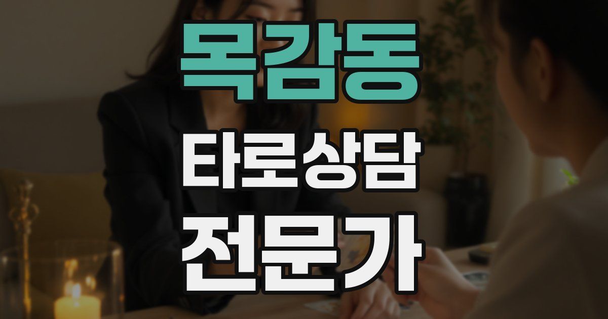 목감동 타로상담전문가 자격증