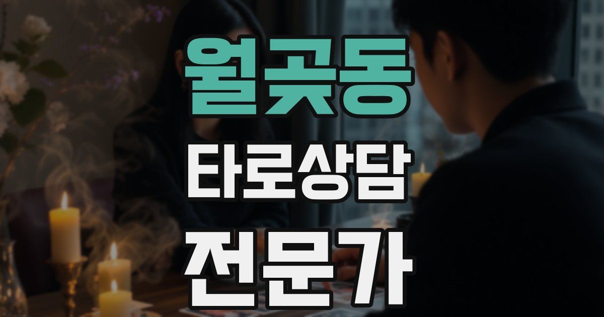 월곶동 타로상담전문가 자격증