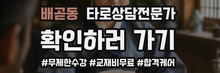 배곧동 타로상담전문가 자격증