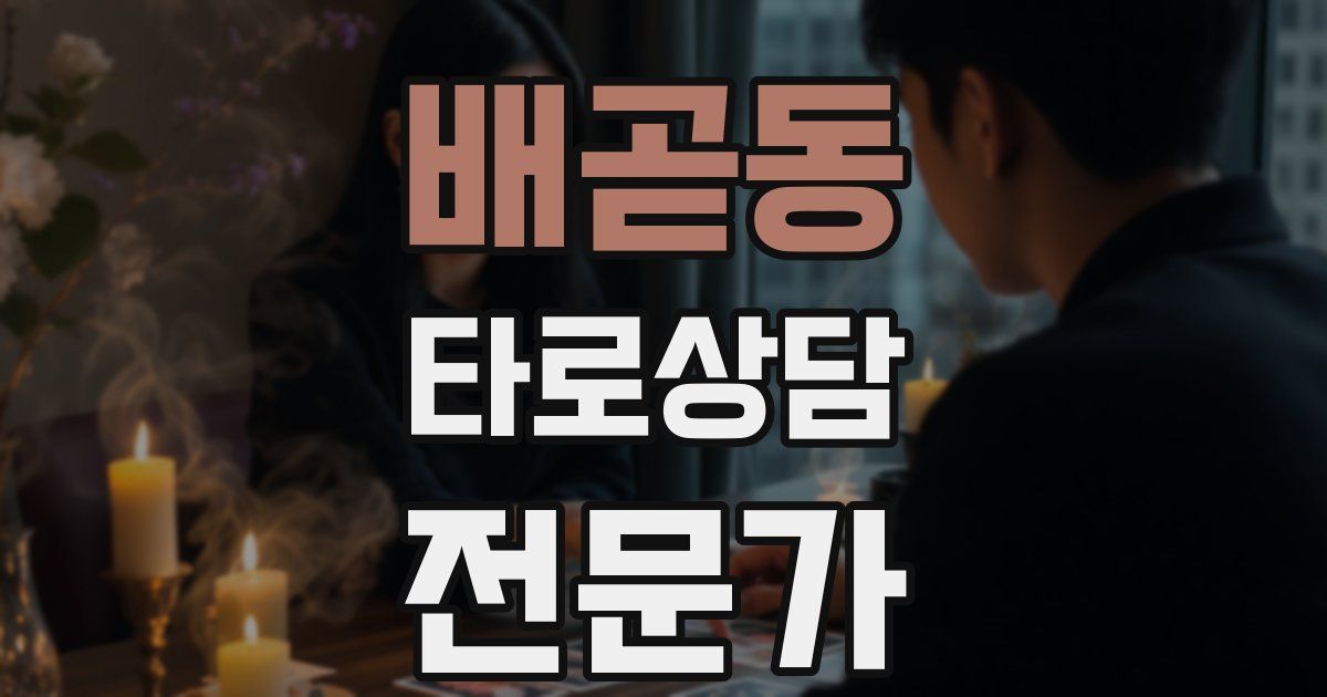 배곧동 타로상담전문가 자격증