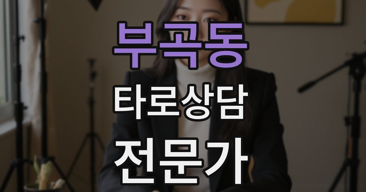 부곡동 타로상담전문가 자격증