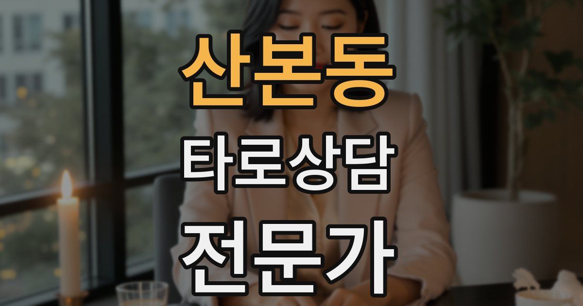 산본동 타로상담전문가 자격증