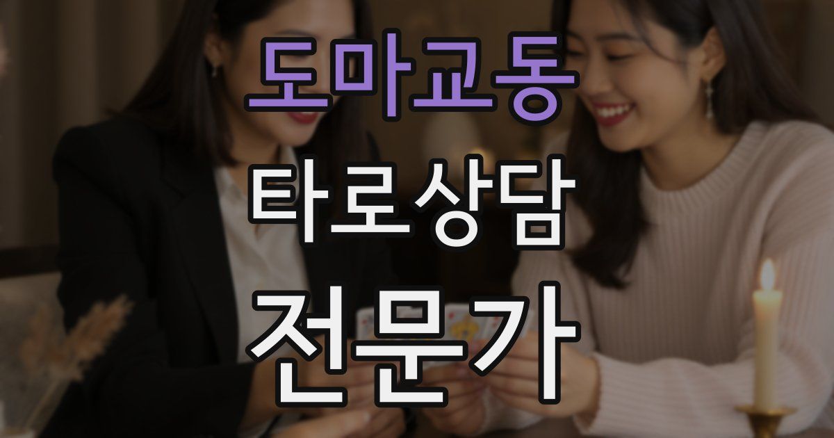 도마교동 타로상담전문가 자격증