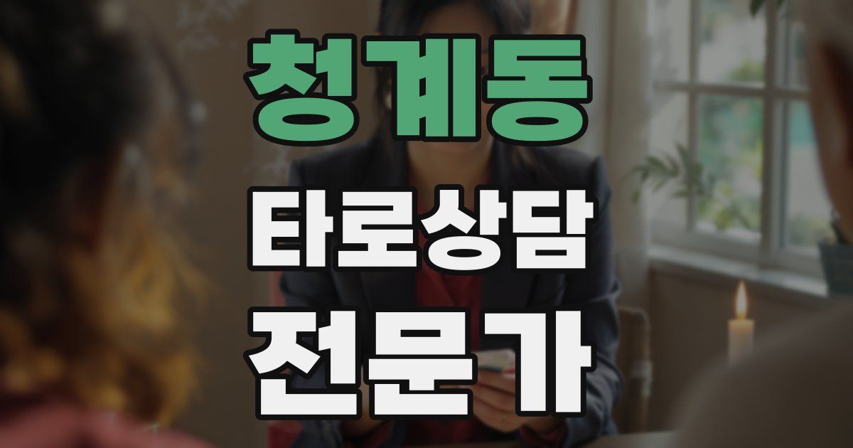 청계동 타로상담전문가 자격증