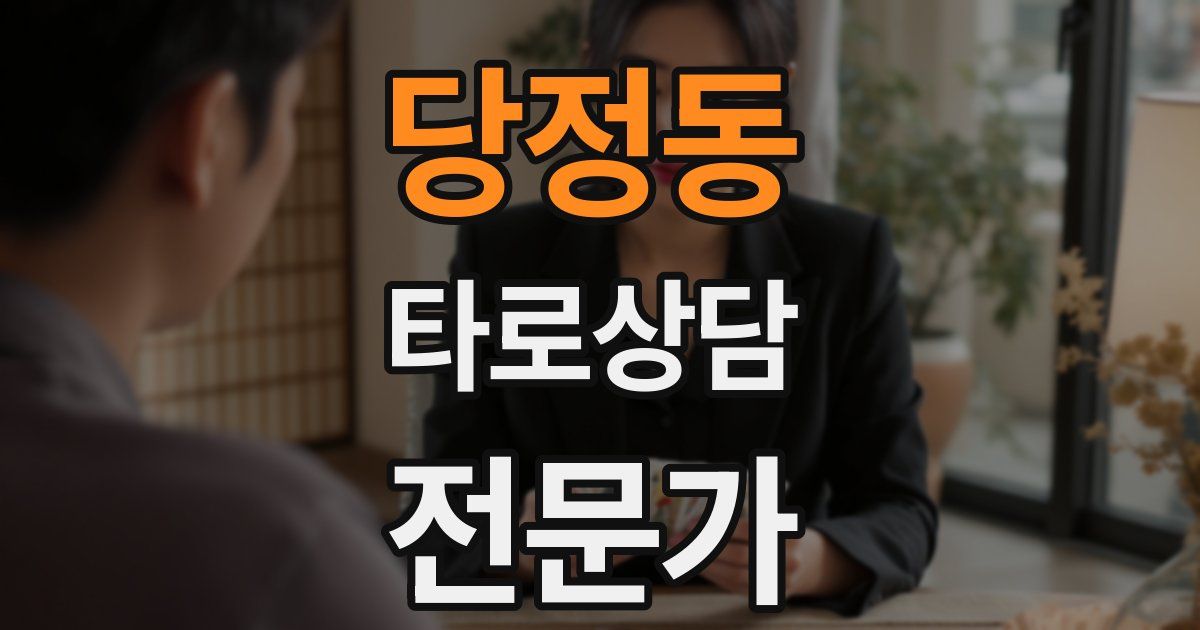 당정동 타로상담전문가 자격증