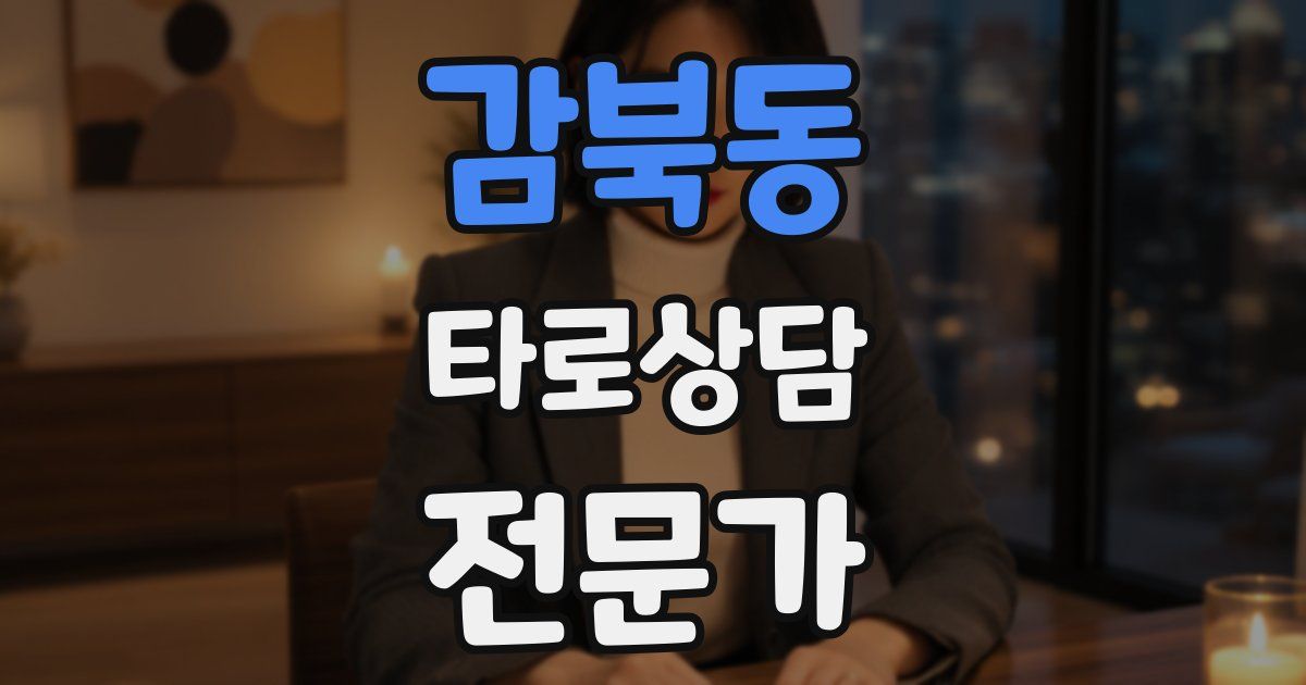 감북동 타로상담전문가 자격증