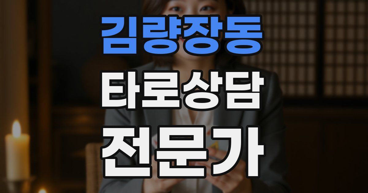 김량장동 타로상담전문가 자격증