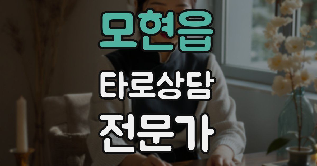 모현읍 타로상담전문가 자격증