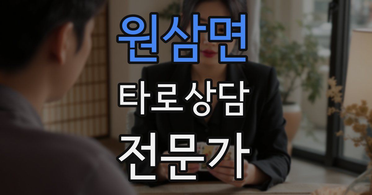 원삼면 타로상담전문가 자격증