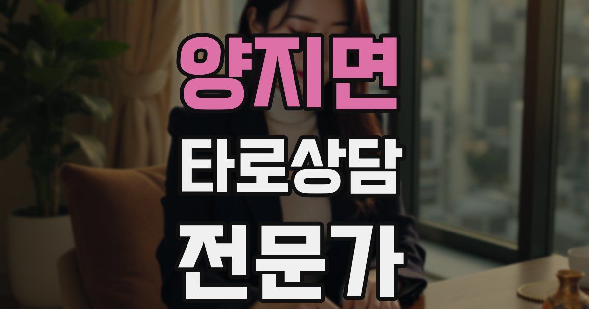 양지면 타로상담전문가 자격증