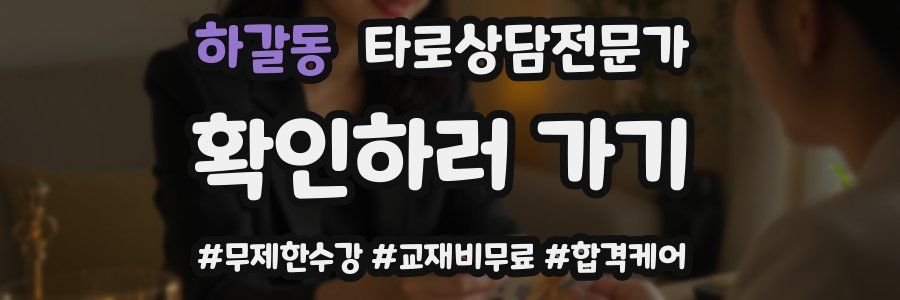 하갈동 타로상담전문가 자격증