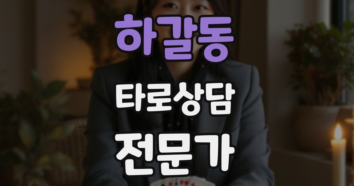 하갈동 타로상담전문가 자격증