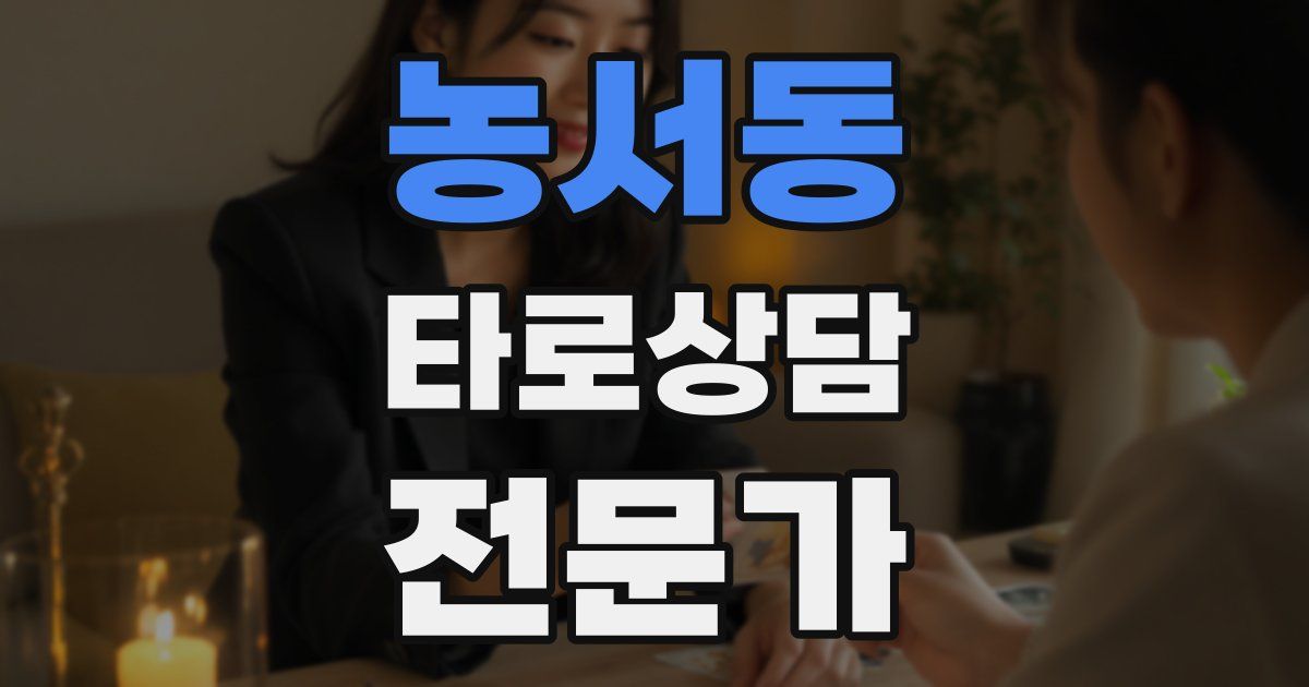 농서동 타로상담전문가 자격증