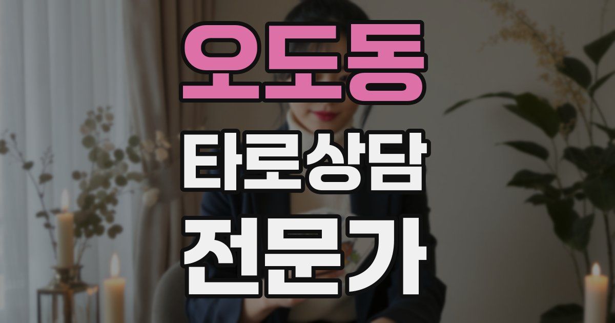 오도동 타로상담전문가 자격증