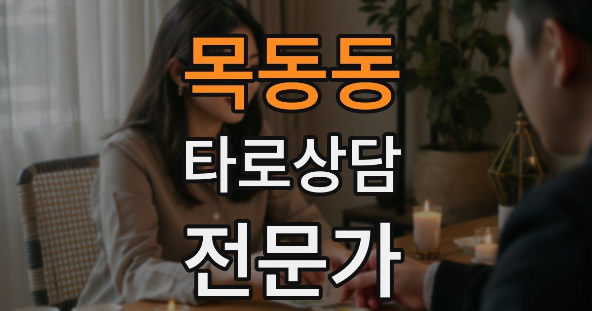 목동동 타로상담전문가 자격증