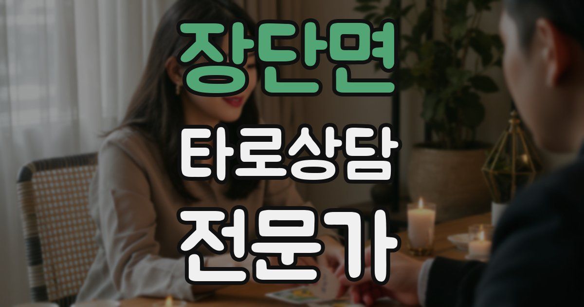 장단면 타로상담전문가 자격증
