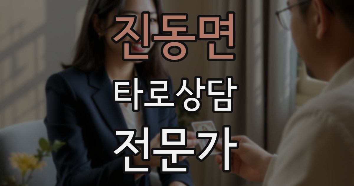 진동면 타로상담전문가 자격증