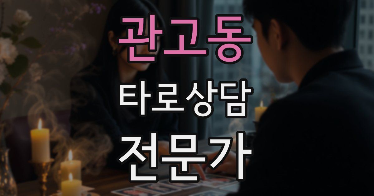 관고동 타로상담전문가 자격증