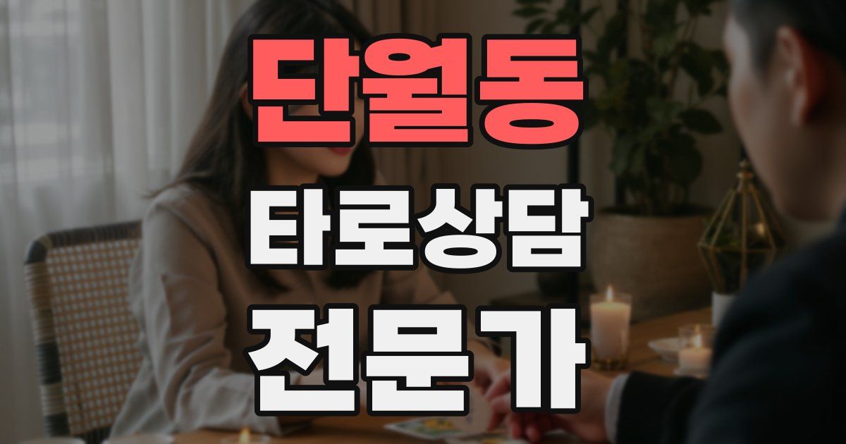 단월동 타로상담전문가 자격증