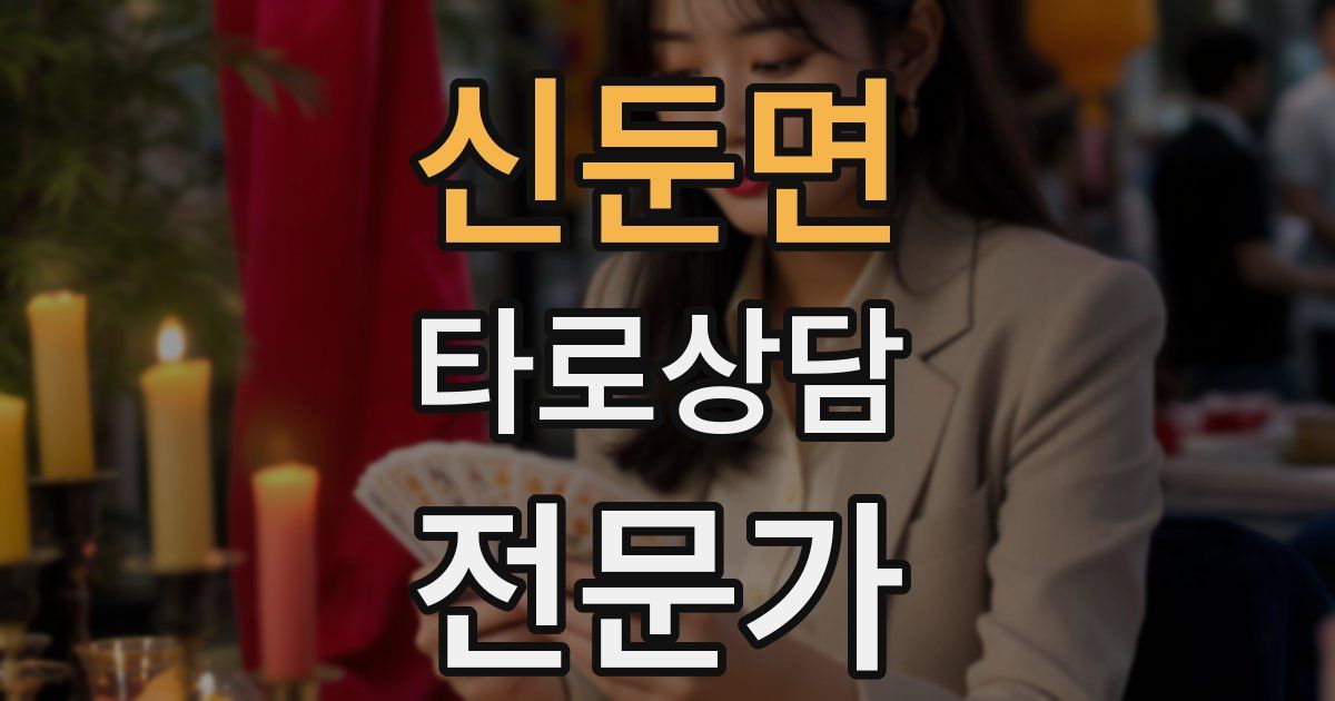 신둔면 타로상담전문가 자격증