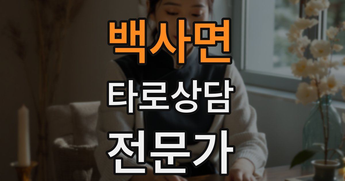 백사면 타로상담전문가 자격증
