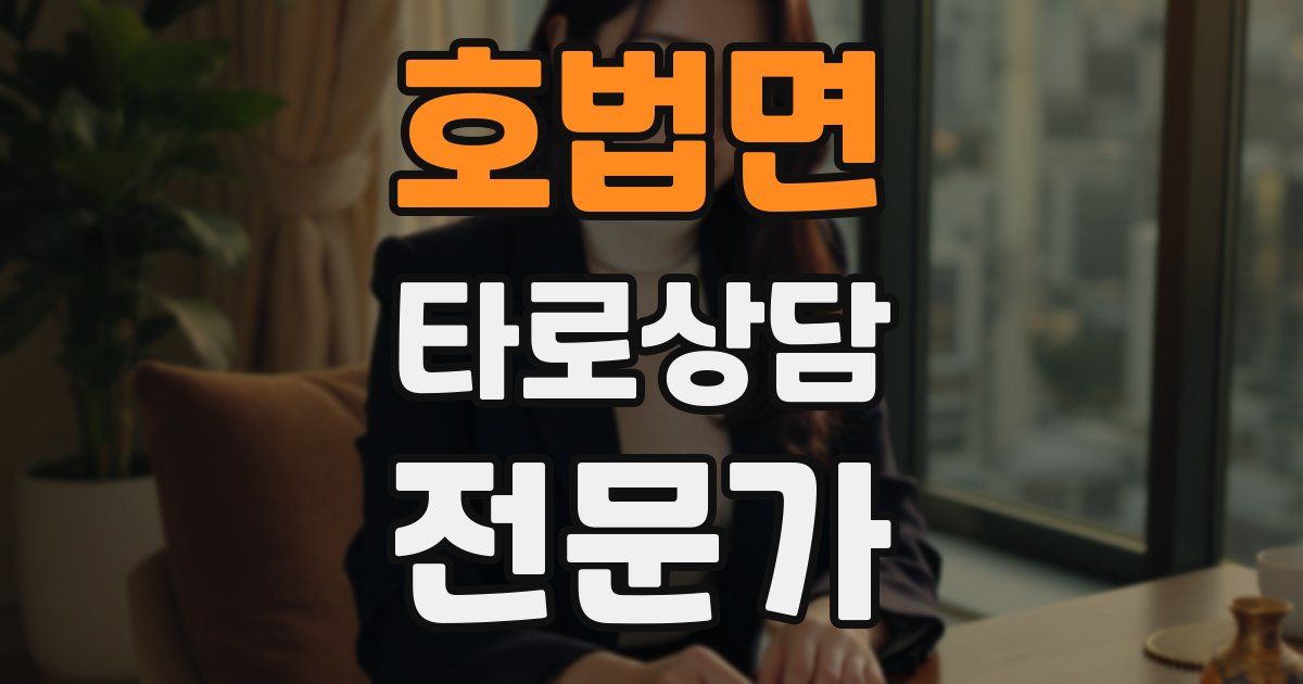 호법면 타로상담전문가 자격증