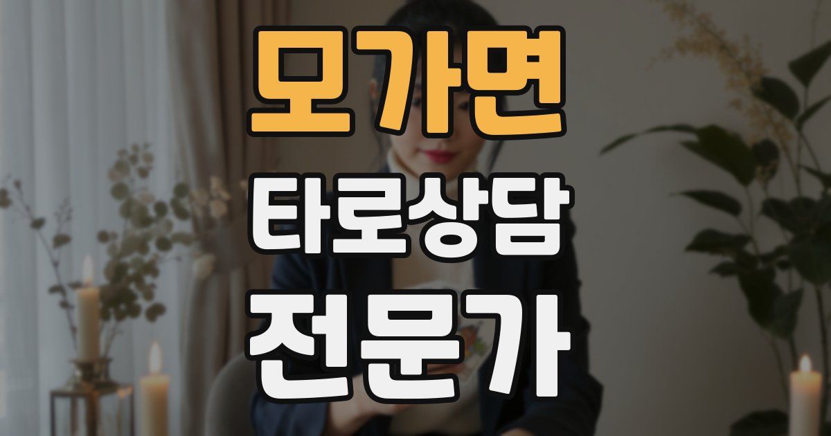 모가면 타로상담전문가 자격증