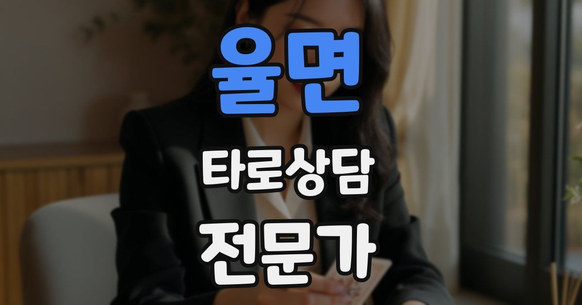 율면 타로상담전문가 자격증