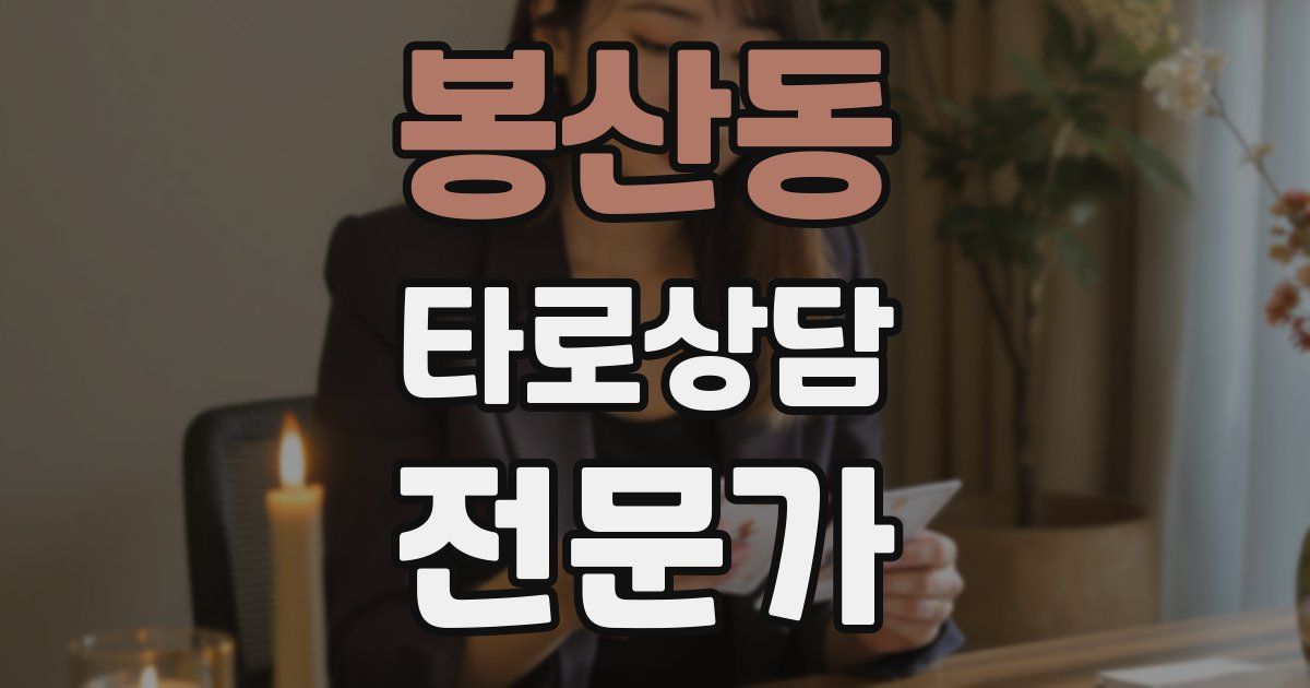 봉산동 타로상담전문가 자격증