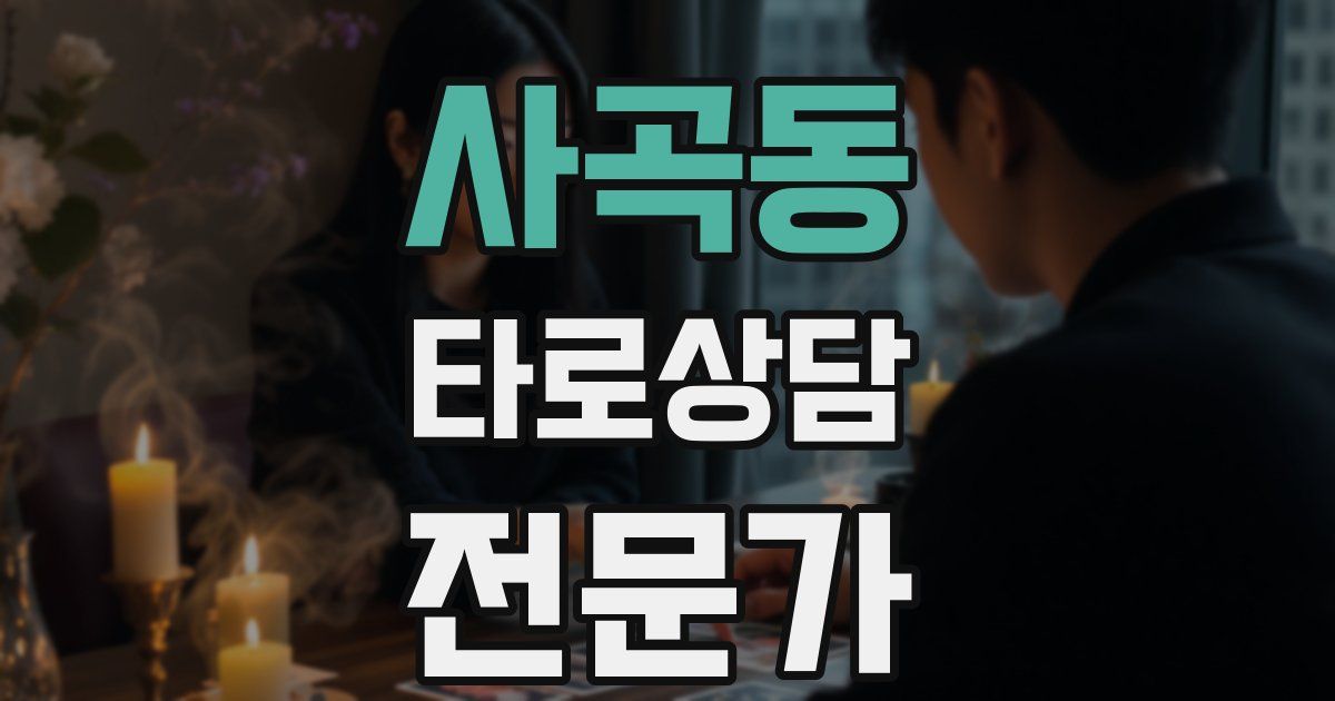 사곡동 타로상담전문가 자격증