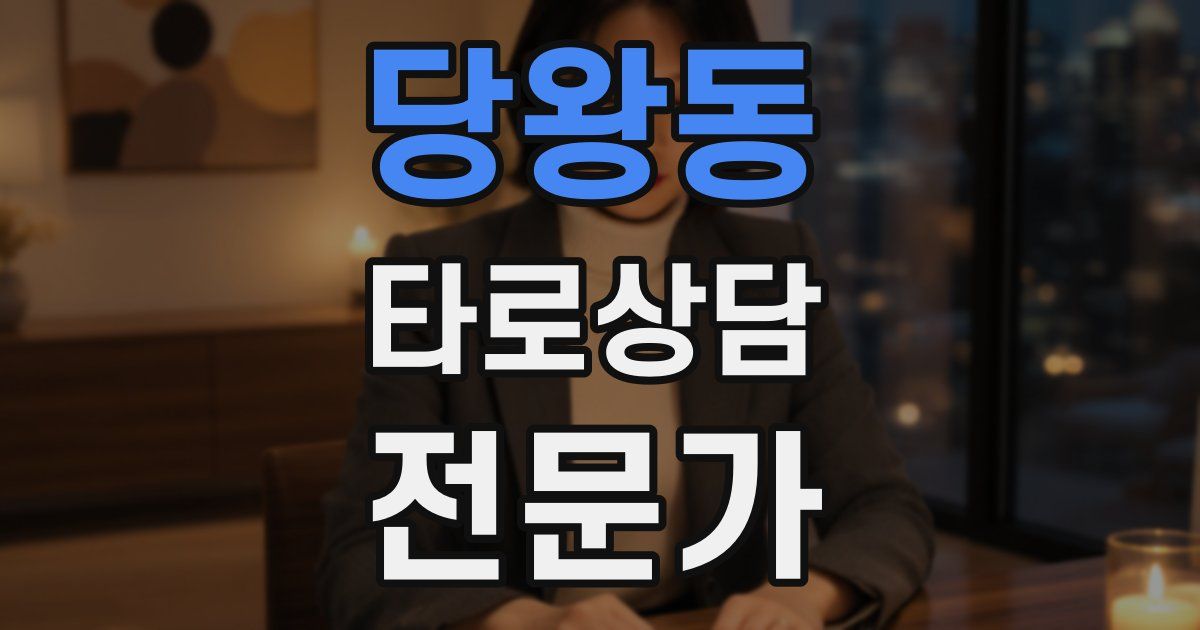 당왕동 타로상담전문가 자격증