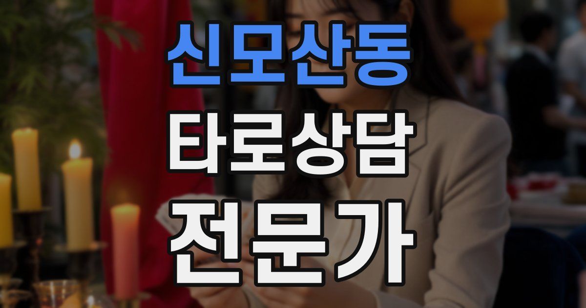 신모산동 타로상담전문가 자격증