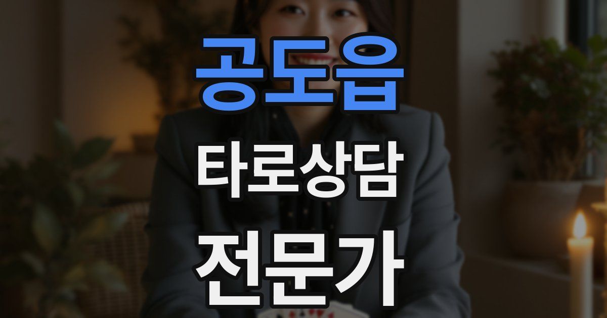 공도읍 타로상담전문가 자격증