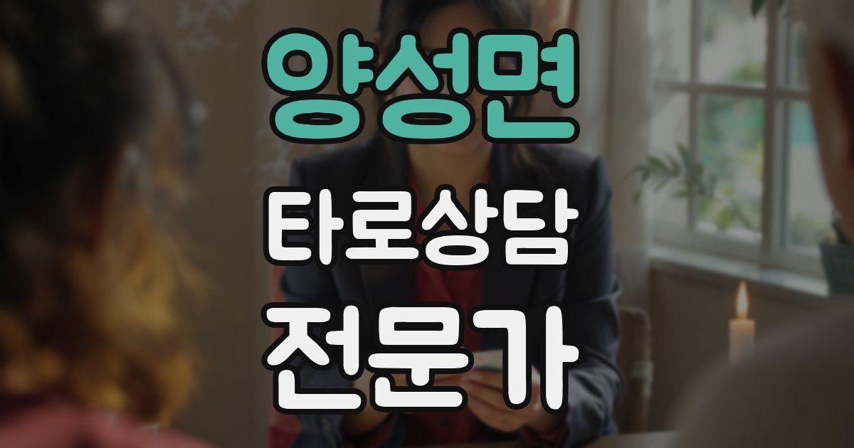 양성면 타로상담전문가 자격증