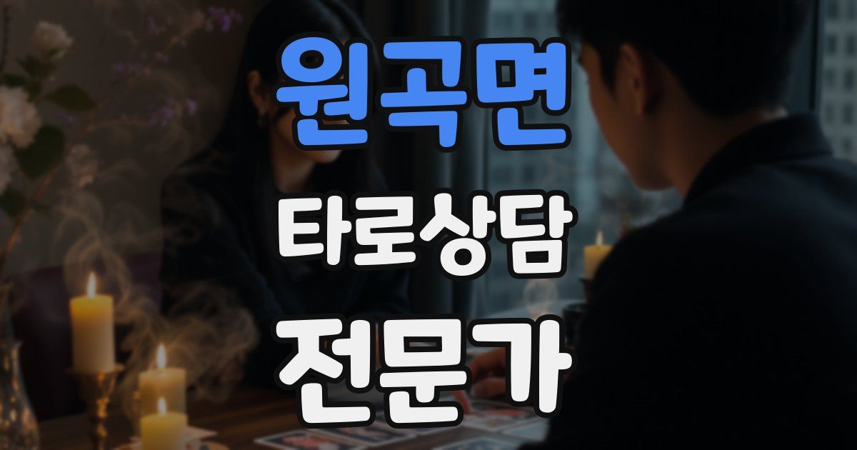 원곡면 타로상담전문가 자격증