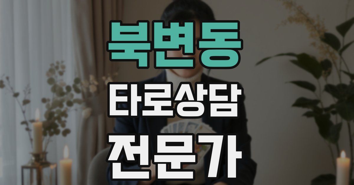 북변동 타로상담전문가 자격증