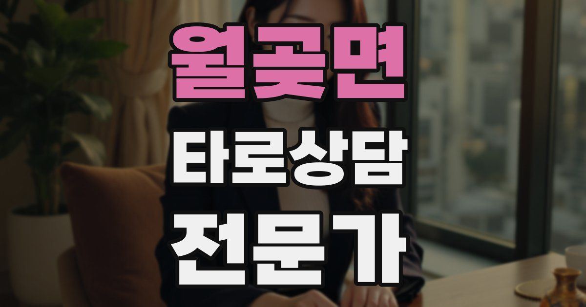 월곶면 타로상담전문가 자격증